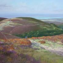 Walk on the Quantocks