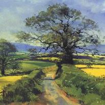 The Road to Exmoor 8 x 4 in