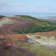 Walk on the Quantocks