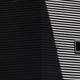 Oldland detail