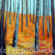 Orange birch forest