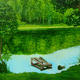 Landscape/Hiding place