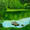 Landscape/Hiding place
