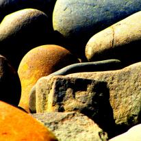 Even the stones will serve you... (v)
