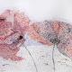 Two Poppies