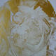 Faces of Eve (1)