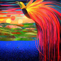 Bird of Paradise