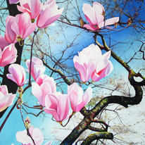 Magnolias