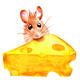 Mouse | | | Watercolour Mouse