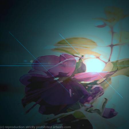 Antique Fuschia