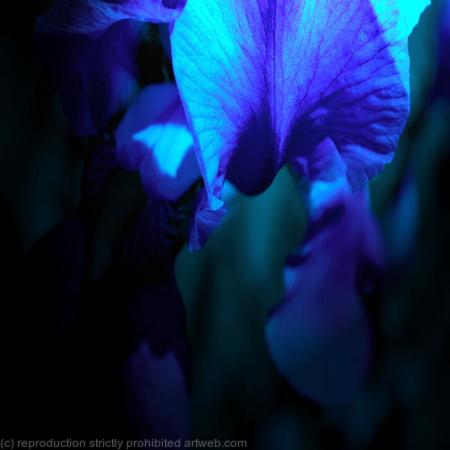 Blue Satin
