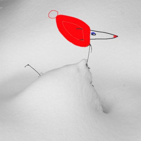 snowdog