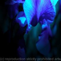 Blue Satin