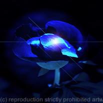 BlueBlue