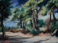 Wood in Skopelos