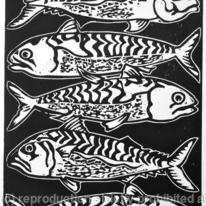 Mackerel