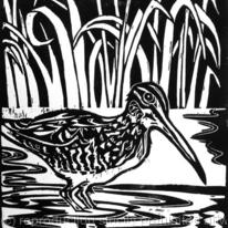 Snipe