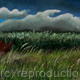 Beanfield in spring | £450 | 60 x 45cm | pastel painting Beanfield in spring