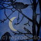 Crows by Moonlight | £60 | 30 x 15cm | Etching Crows by Moonlight