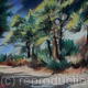 Wood in Skopelos