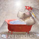 Hippo Bath Day