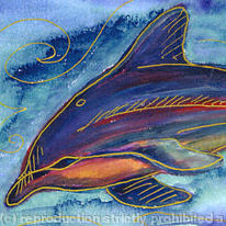 Dolphin