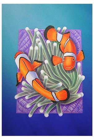 Clown Fish