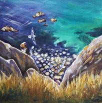 Fulmars
