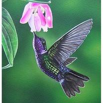 Hummingbird