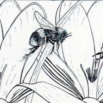Pollination