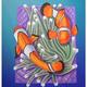 Clown Fish