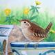 Wren