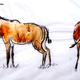 Gemsbok