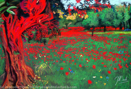 Poppies and an Olive tree