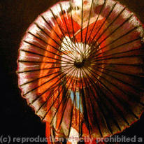 Silk Parasol