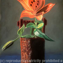 Lily in Iron