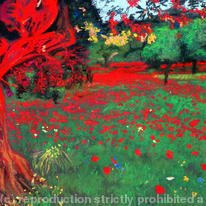 Poppies and an Olive Tree