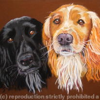 paddy and ted