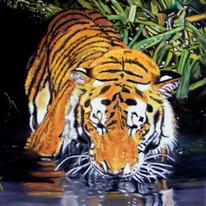 \'Tiger\' - A shaft of sunlight