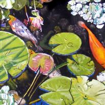 Koi