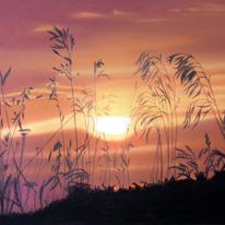 sunset-through-grasses