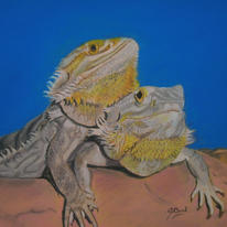 Dragons