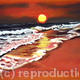 Sunset Surf