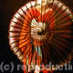 Silk Parasol