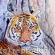Tiger Tiger