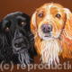 paddy and ted