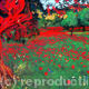 Poppies and an Olive…