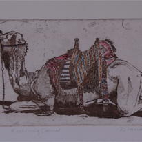 Resting Camel 27 x 12