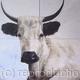 Vaynol Cow