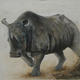 Rhino